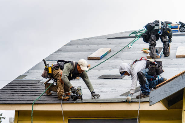 Professional Gutter Installation technician working in New Ulm, MN